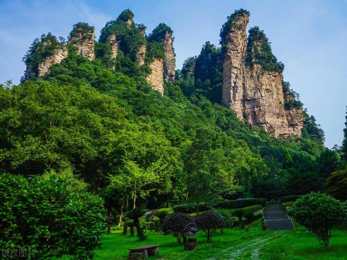 去张家界旅游五天四晚自由行,张家界旅游防骗攻略