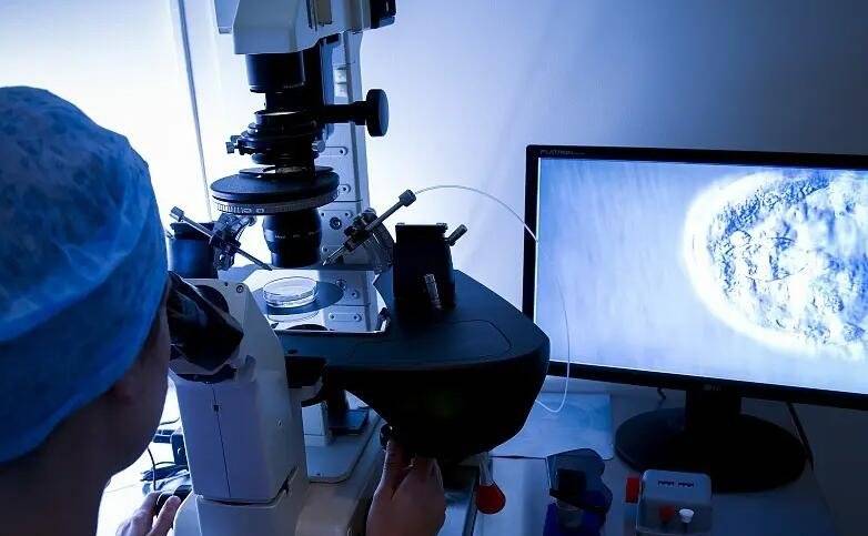 供卵试管婴儿?哪些人需要做呢? 供卵试管婴儿?哪些人需要做呢?
