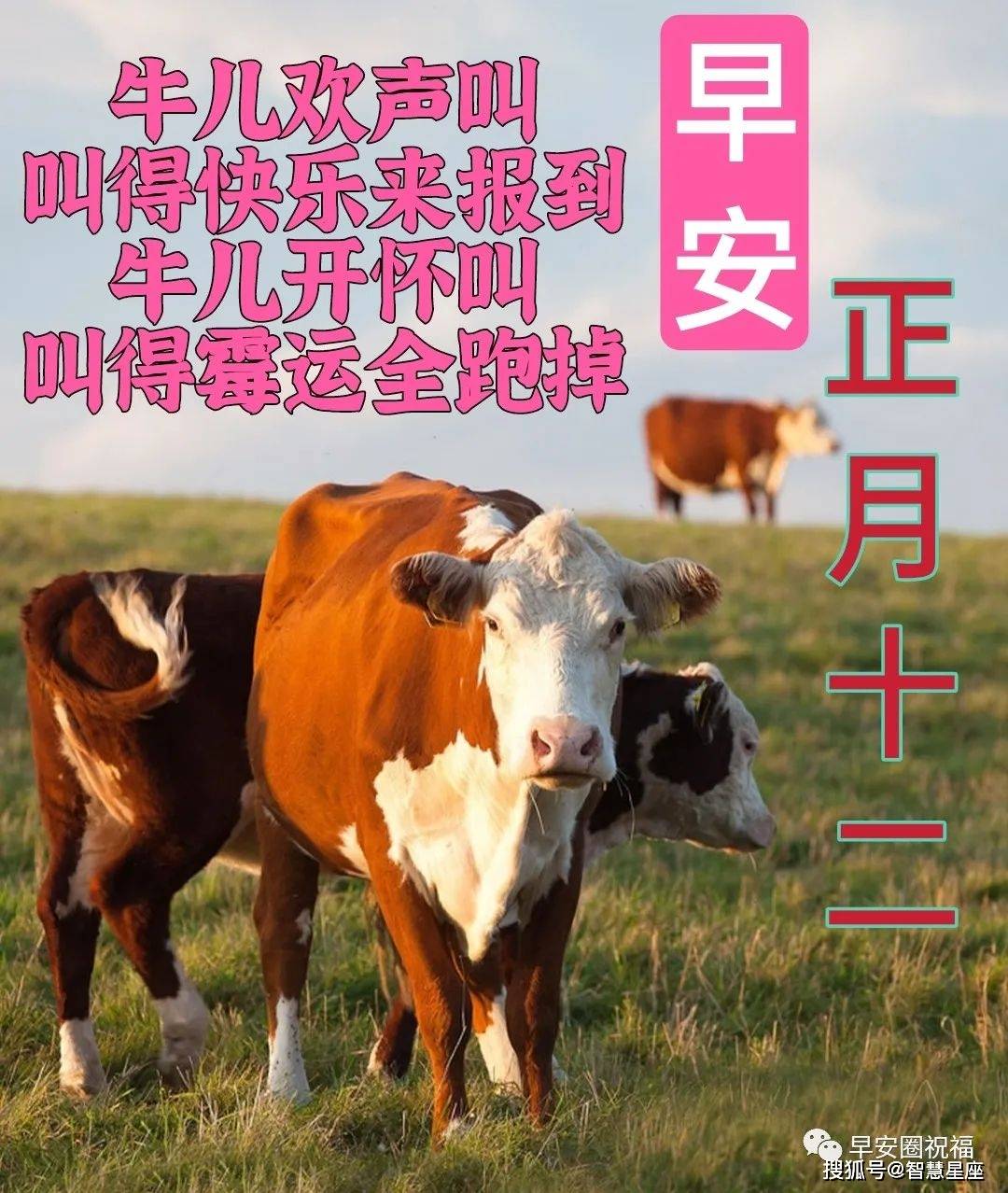 原创正月十二祝福语大年正月初十二祝福语录，大年十二好看微信拜年祝福语句子