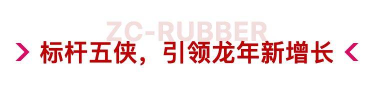 开云全站逆势破局｜中策卡客车胎零售商世界春季订货会彰显民族品牌硬能力！(图3)