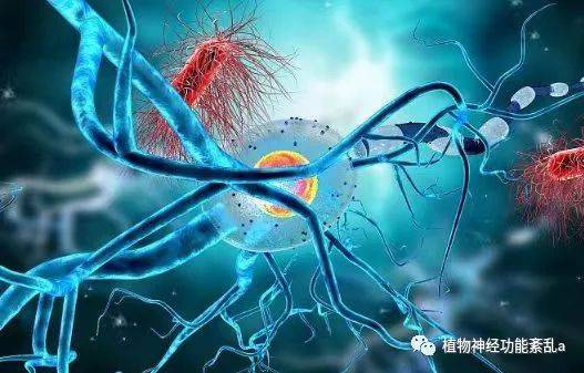 植物神经功能紊乱复发后应该是吃西药还是中药！