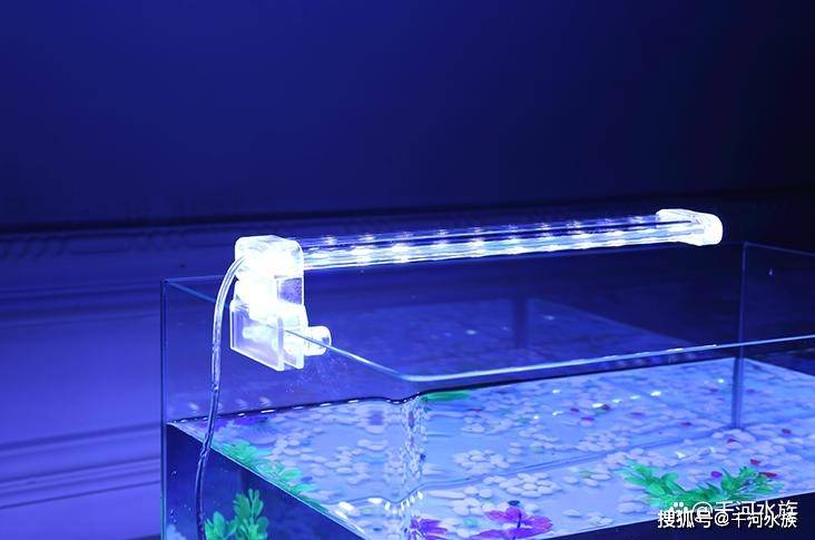 鱼缸用什么灯最合适？