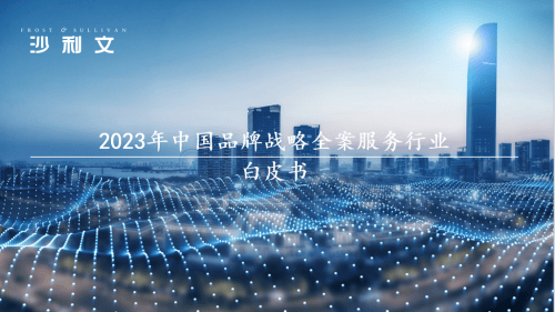 杏彩体育登录注册沙利文认证中国战略营销策划3大领导公司排名