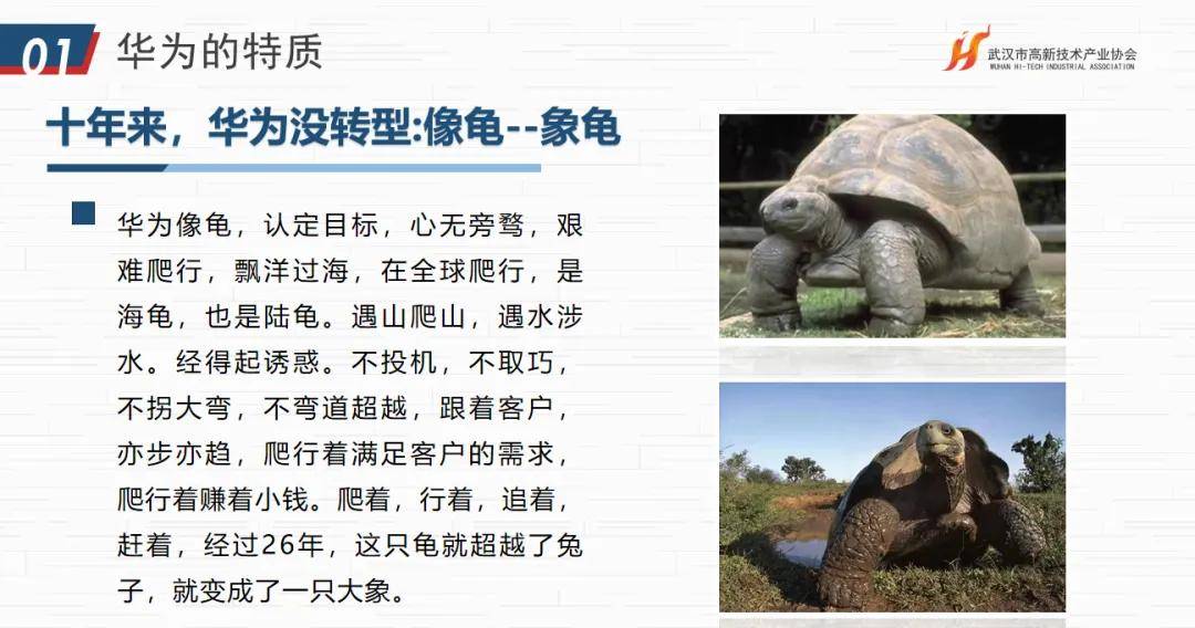 华为文化为何是高绩IM电竞 IM电竞平台效文化？协会“助企讲座”第七站走进红星杨科技(图36)
