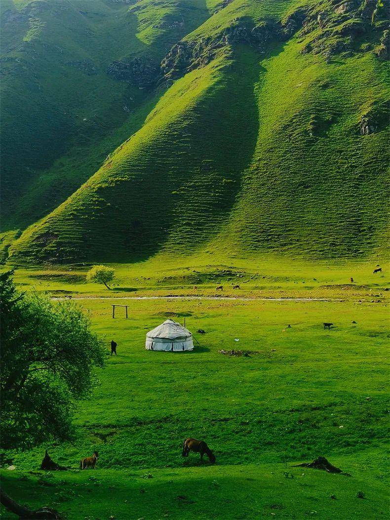 比呼伦小众！新疆天山下的宝藏草原，颜值媲美瑞士，预计今夏爆火