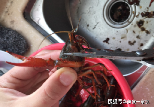 “麻辣小龙虾”，在家也能轻松制作，再也不怕拉肚子了