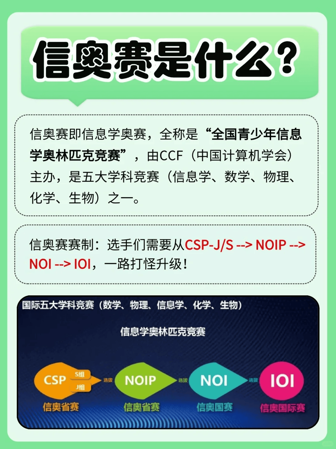 信奥赛是什么  第1张