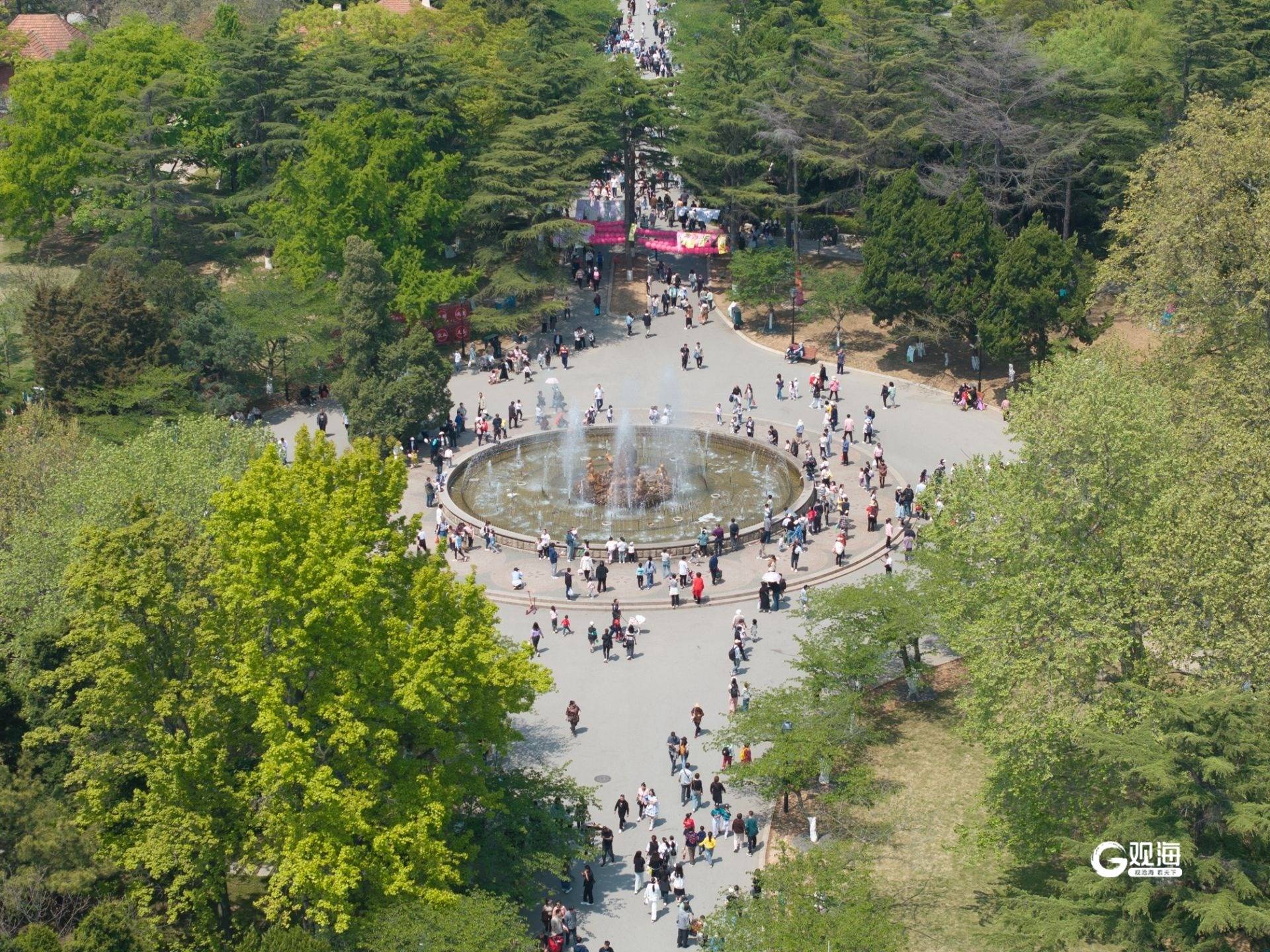 “五一”假期，在青岛这里体验“公园20分钟效应”plus版