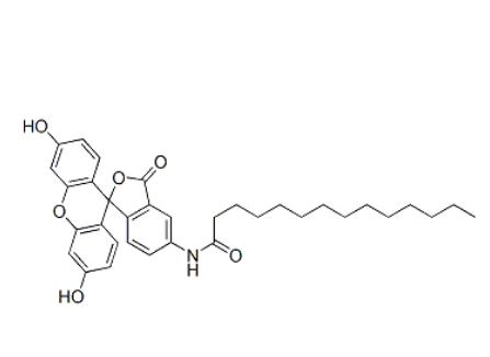 DOTMA;75796-37-1 ;5-(十四酰氨基)荧光素_表面_性能_离子型