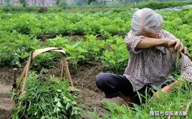 🌸中国市场监管新闻网 【澳门精准100%一肖一码免费】_磨憨国际口岸城市建设风帆劲