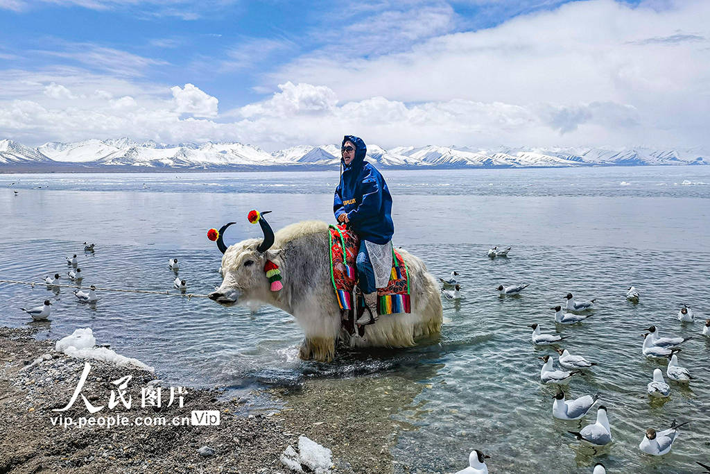 西藏：纳木错美景惹人醉