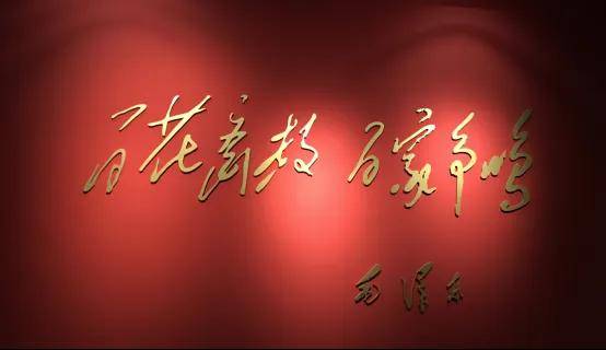 从浙江“河道污染治标不治本”看环境治理“三公理” | 聚焦中央生态环保督察