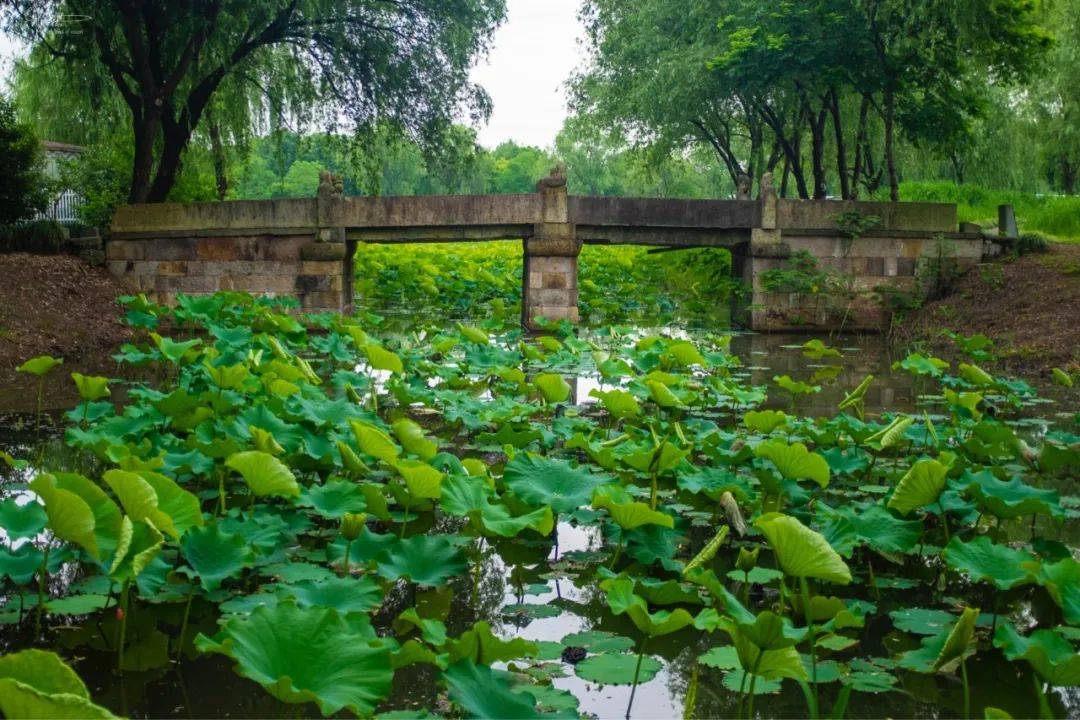 赤峰日报:香港二四六开彩资料大全302期-奇葩习俗：揭秘契丹历史上的神秘“放偷日”，现在可不敢这样