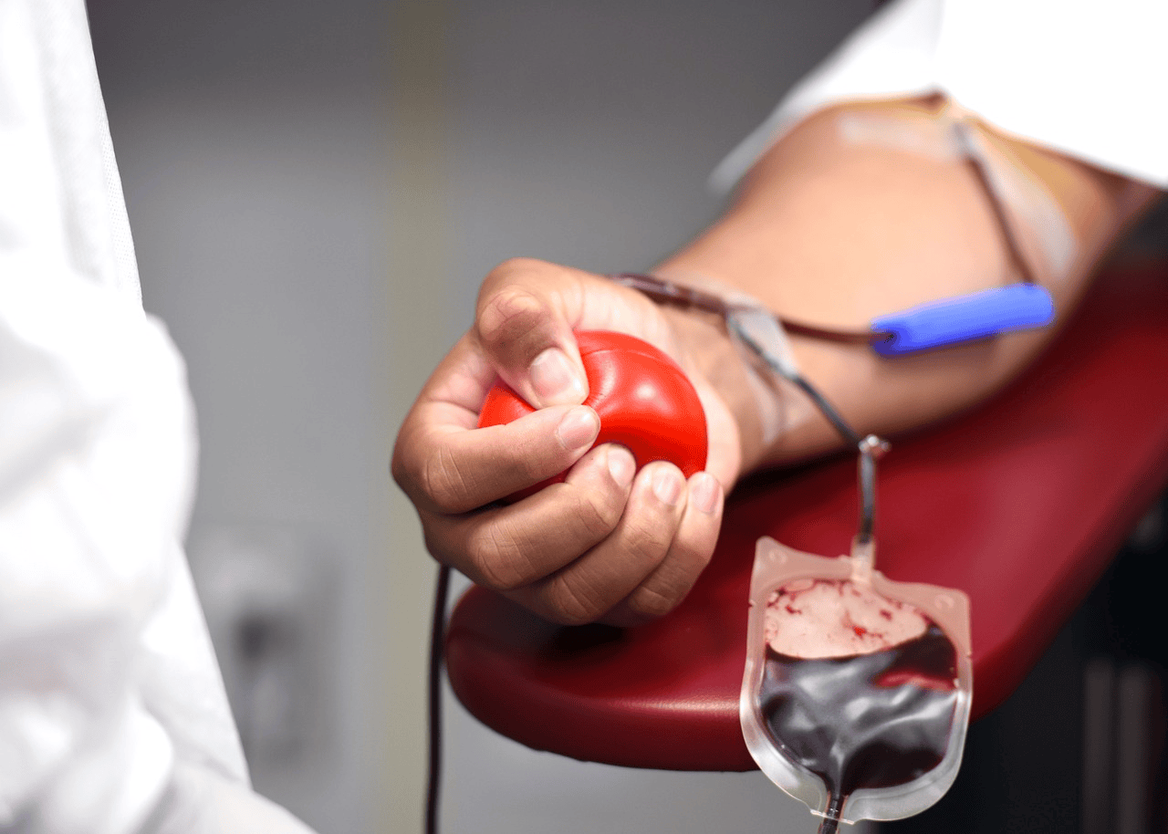 【世界献血者日】献血会导致贫血吗？养气血有妙招