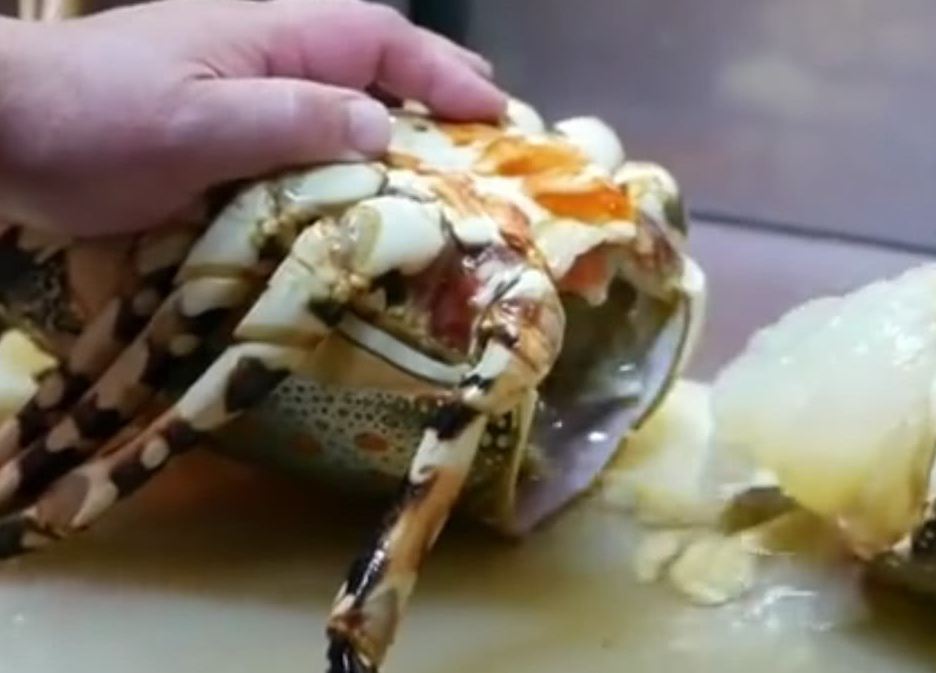 这龙虾有多大，看顶级厨师如何料理成龙虾刺身！网友：虾头可惜了