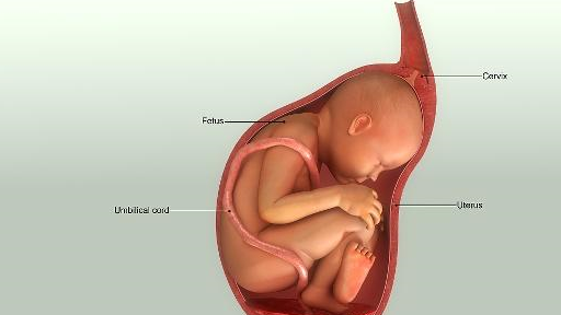产妇分娩时，宫缩可不是白疼的，还有3个好处，不疼才更让人担心