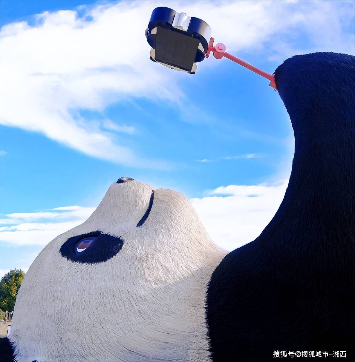 成都的景点三天怎么玩？成都三天两晚路线攻略，干货分享！