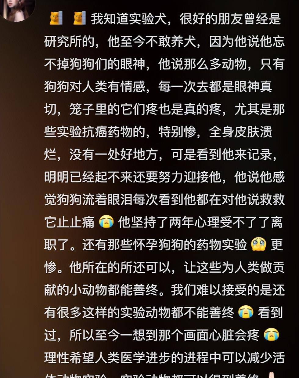 原创 笑爆了!98%的实验犬都是比格?为什么选择比格犬,听听业内人怎么说-实验犬比格犬