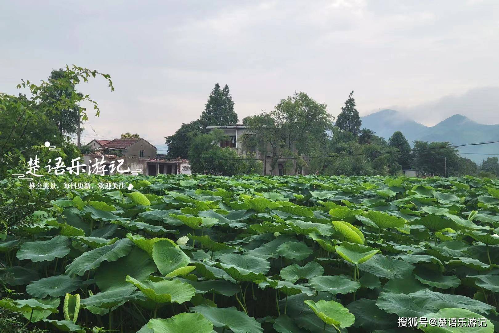 中工网 :2024澳门六开彩开奖结果查询-9个站累计降水量为历史同期最多 未来7天广西将持续降雨