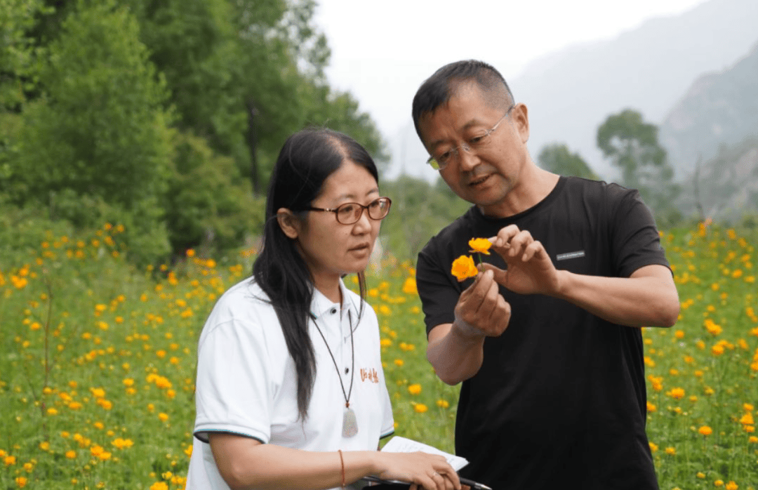 南充见:正版资料免费资料大全-中医药文化旅游体验周启动，歌舞再现中医药历史文化