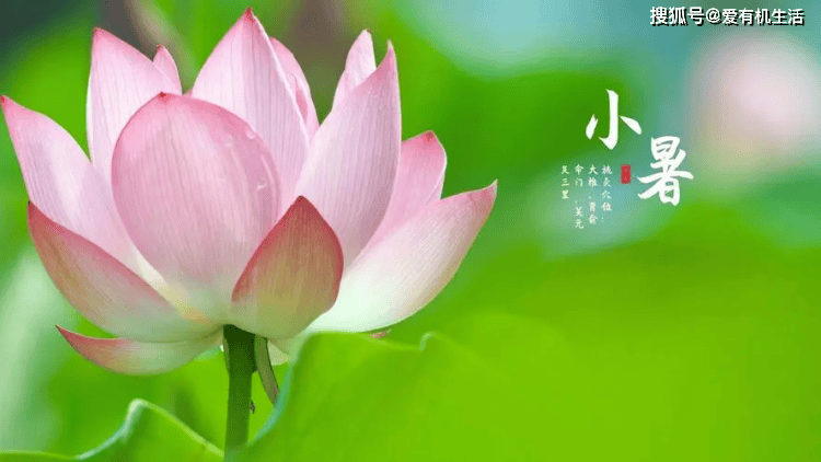 原创小暑一声雷倒转黄梅天是什么意思？