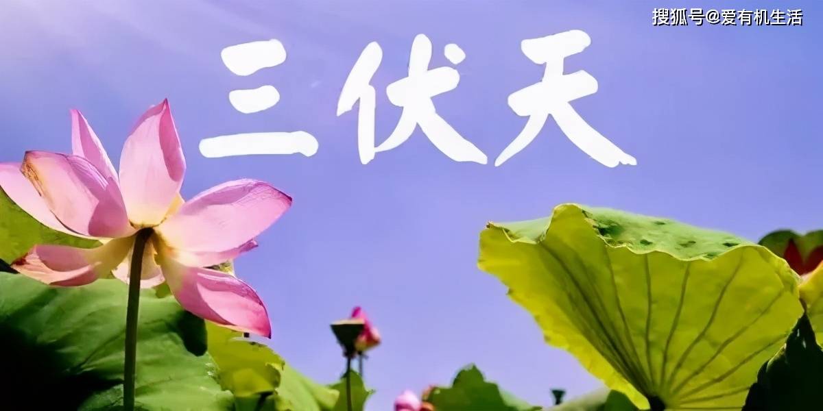 原创头伏是哪天2024，三伏天有多长，今年会很热吗？