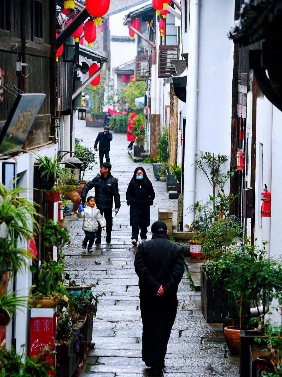 🌸人民网 【澳门天天开彩好正版挂牌】_去山野吸氧！解锁“城市后花园”