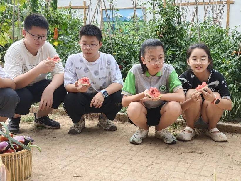 腾讯：噢门资料大全免费-合肥市蚌埠路第三小学：强化党纪学习教育 坚守廉洁底线