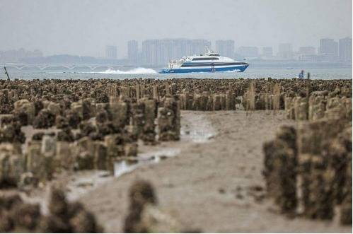 台湾风向突然大变！马英九重磅表态，赖清德再不认清现实就晚了