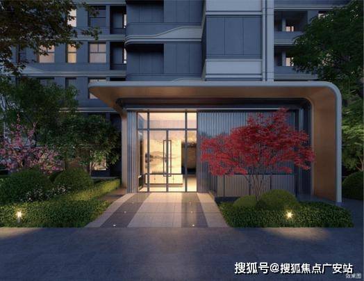 文章配图-11