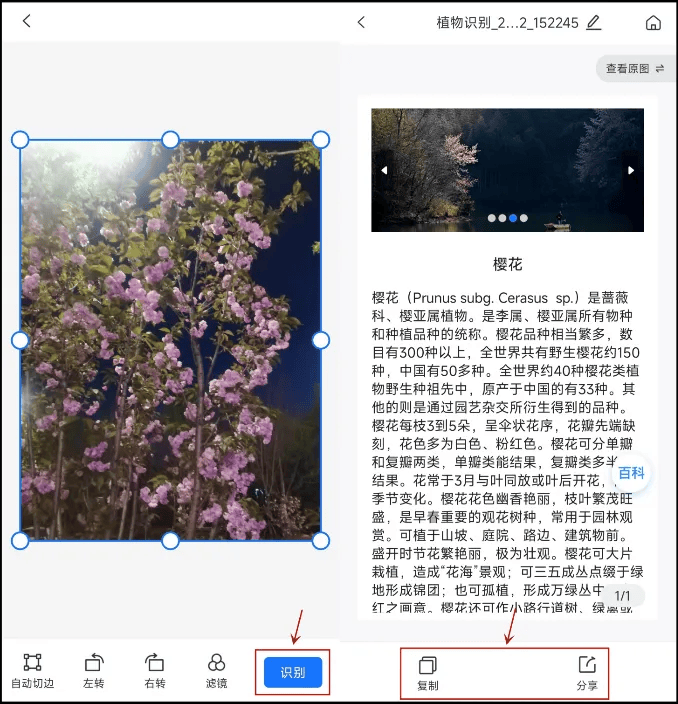 微信不注销也能解除实名认证？点击这里→