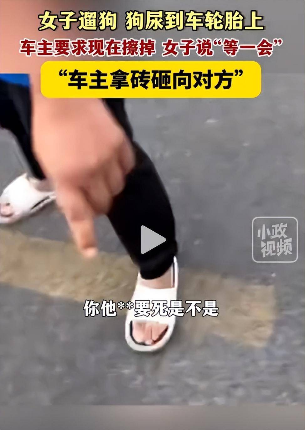反转!女子遛狗尿轮胎上,被发现后拒绝清理,车主拿砖头砸狗泄愤-狗尿到车轮胎上算命