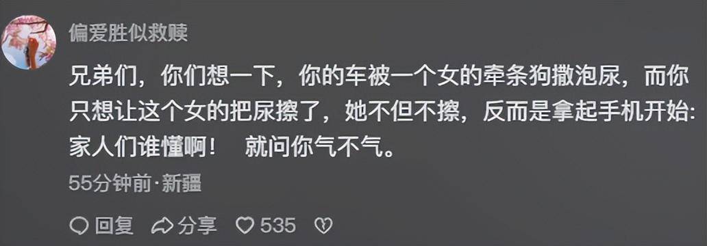 反转!女子遛狗尿轮胎上,被发现后拒绝清理,车主拿砖头砸狗泄愤-狗尿到车轮胎上算命