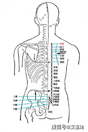 老年人常见病~骨质疏松艾灸疗法(图10)