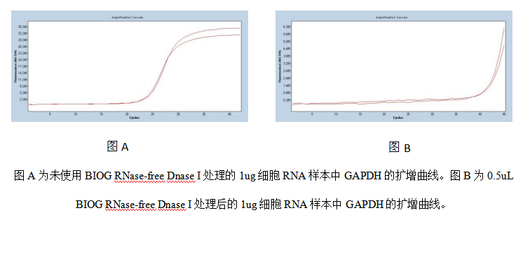 怎么选择DNA酶I？