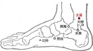 老年人常见病~骨质疏松艾灸疗法(图5)