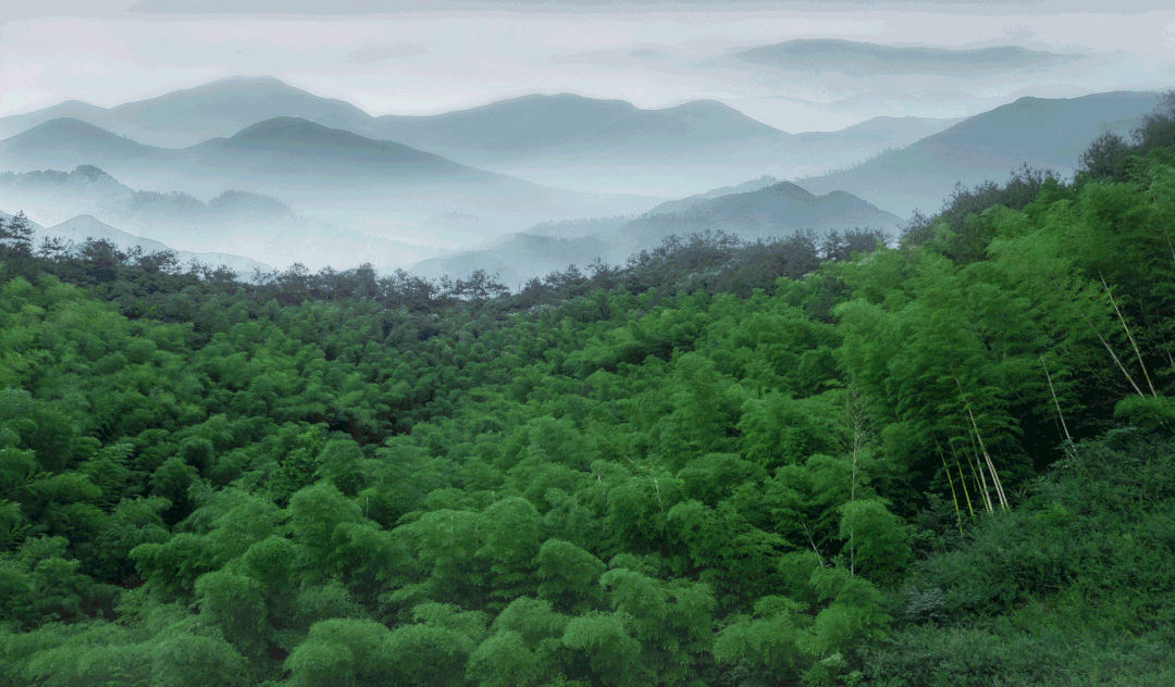 文章配图-6