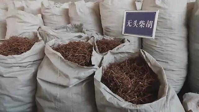 宝鸡凤县:让药材变“药财” 走出中药材产业的“链变”之路