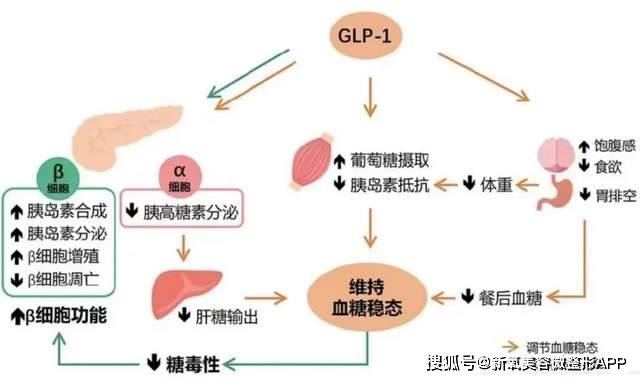 🌸【4949澳门免费资料大全特色】_乐华娱乐（02306.HK）6月13日收盘跌7.35%