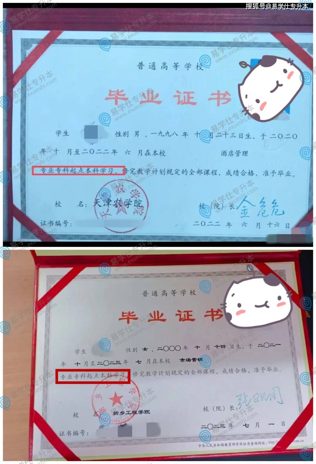 专升本毕业证书取消“专科起点本科”真的变了吗？