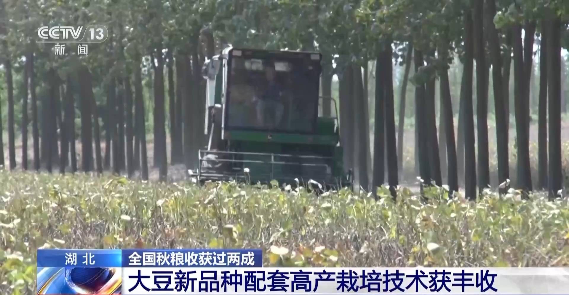 全国秋粮有望再获丰收 来看秋收画卷背后的新科技→