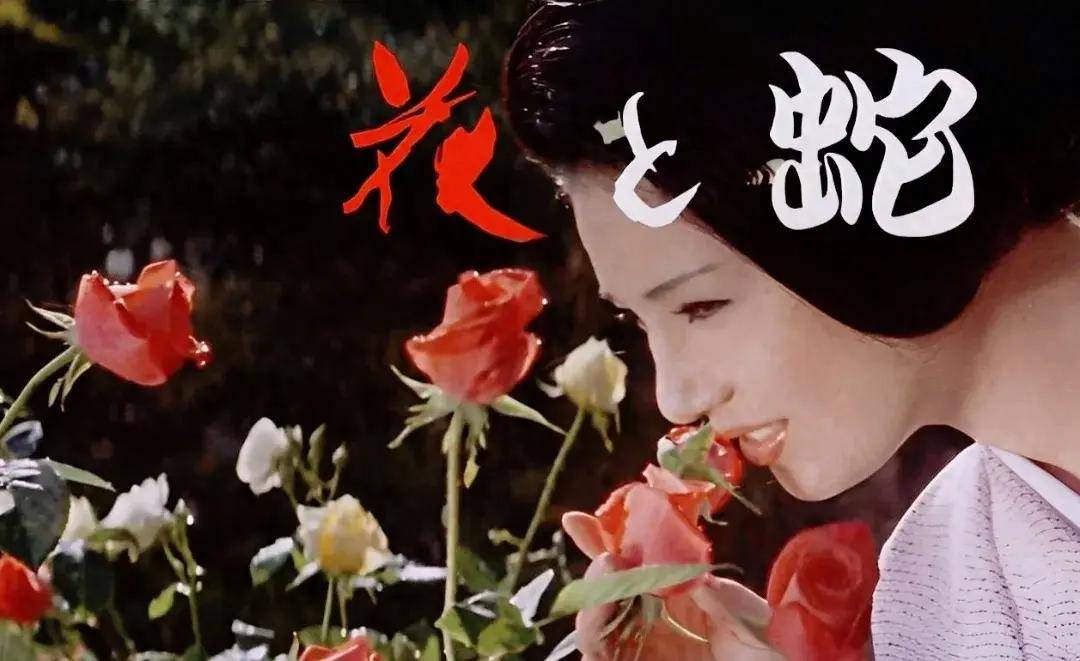 原创            日本大尺度电影《花与蛇》，一部让人心灵震颤的电影，看完直呼过瘾