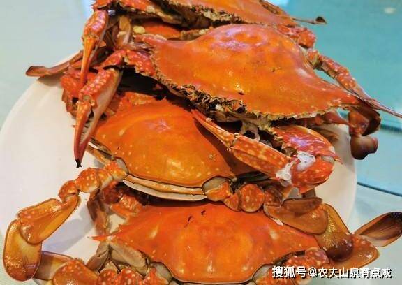 隔夜蟹和死螃蟹能吃吗？专家为你揭开真相