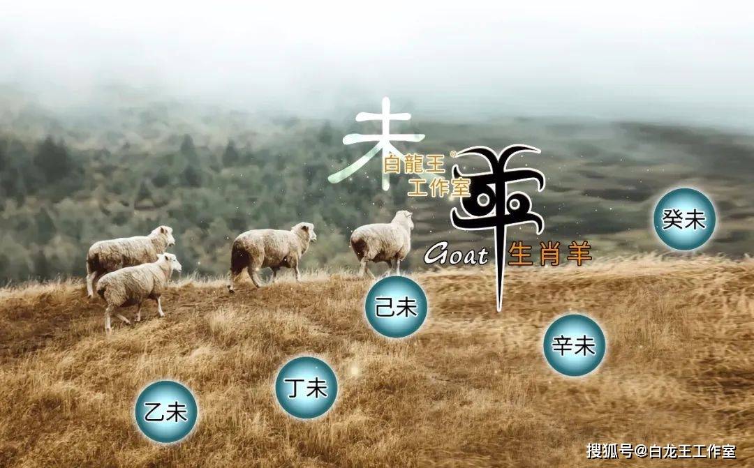 生肖属羊2025年整体运势详解：自持自律 宜守不攻