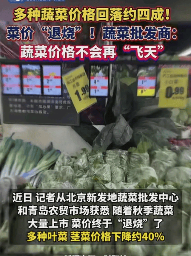 秋季蔬菜大量上市供应充足你那里的蔬菜价格降了吗？6t体育官网(图2)