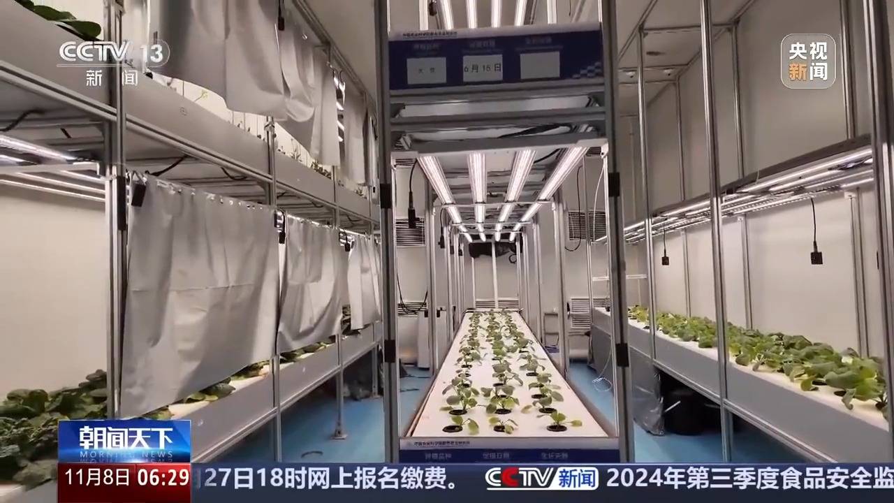 植物工厂长啥样？沙漠里能种水稻？揭秘种菜“黑科技”天博电竞登录(图3)