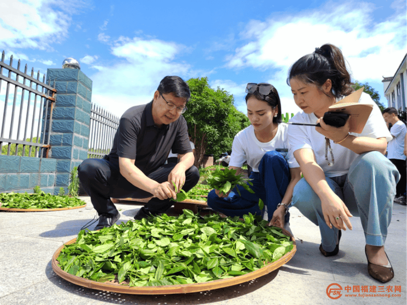 陆耀全：茶韵人开云下载生 逐梦前行(图2)