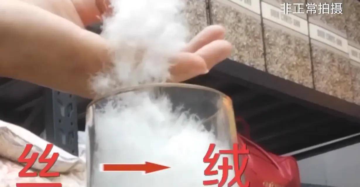 你买的羽绒服真的保暖吗?你的羽绒服很有可能含绒量为0-羽绒服保暖的奥秘是什么