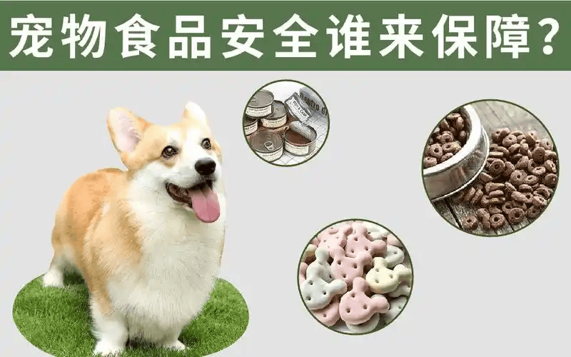 宠物食1xBET注册品安全警钟长鸣问题探讨为爱宠护航(图2)