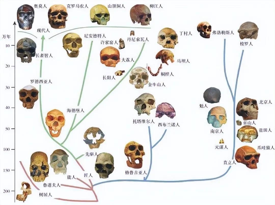 原创             地球上一开始并没有人，第一个男人和女人是怎么来的？